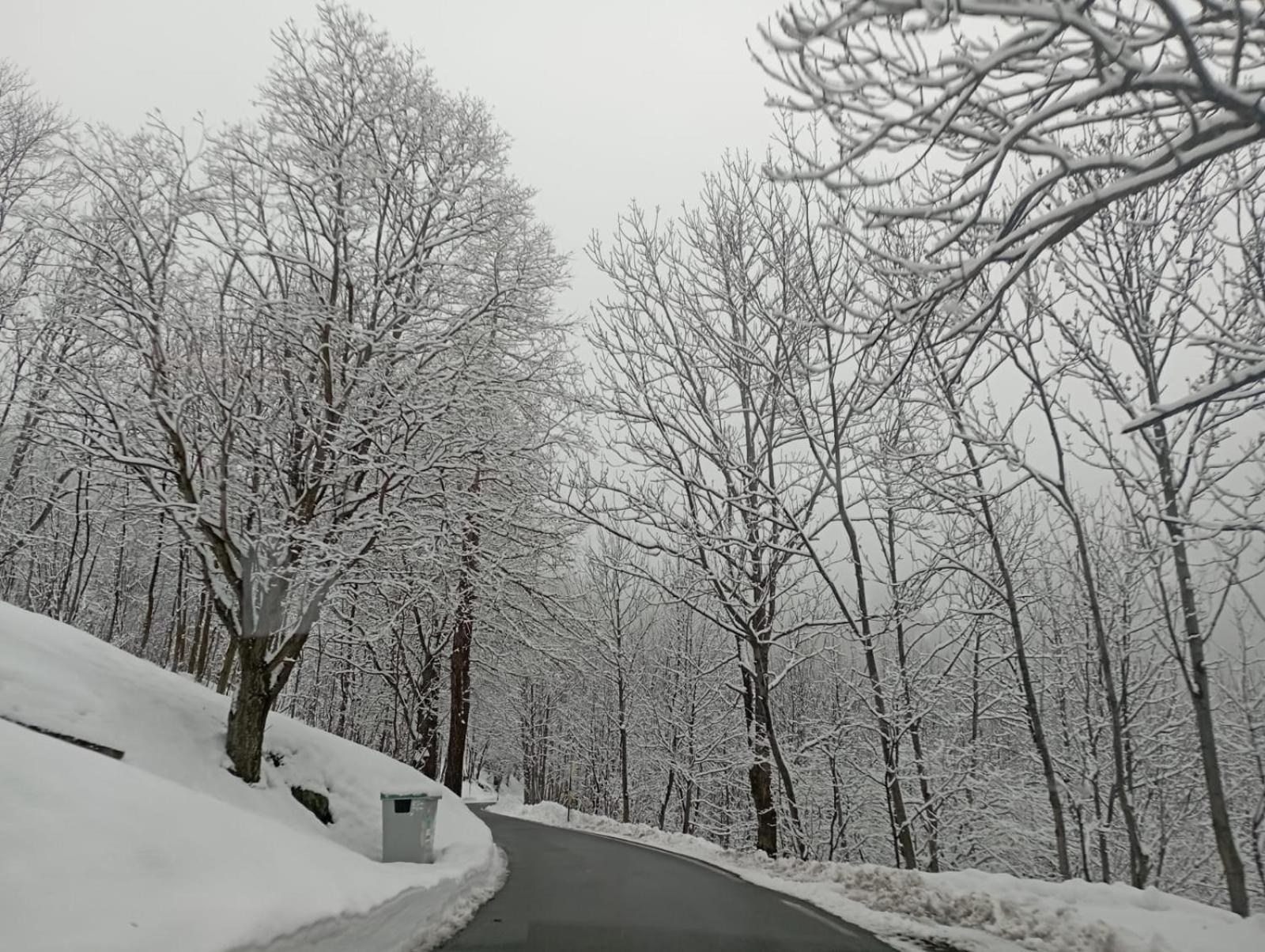 Ca Ad Me Pare Alloggio Con Terrazza Panoramica Монченисио Екстериор снимка